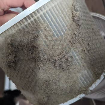 Reviewer holding the filter, which is covered in dust and particles