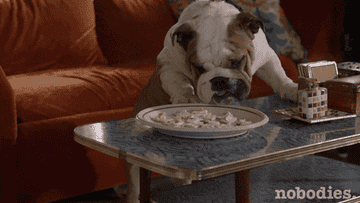 dog eating food off a plate