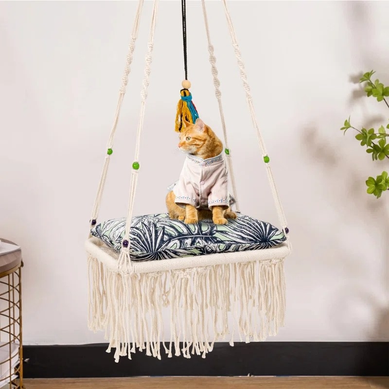 a cat sitting on the hanging hammock