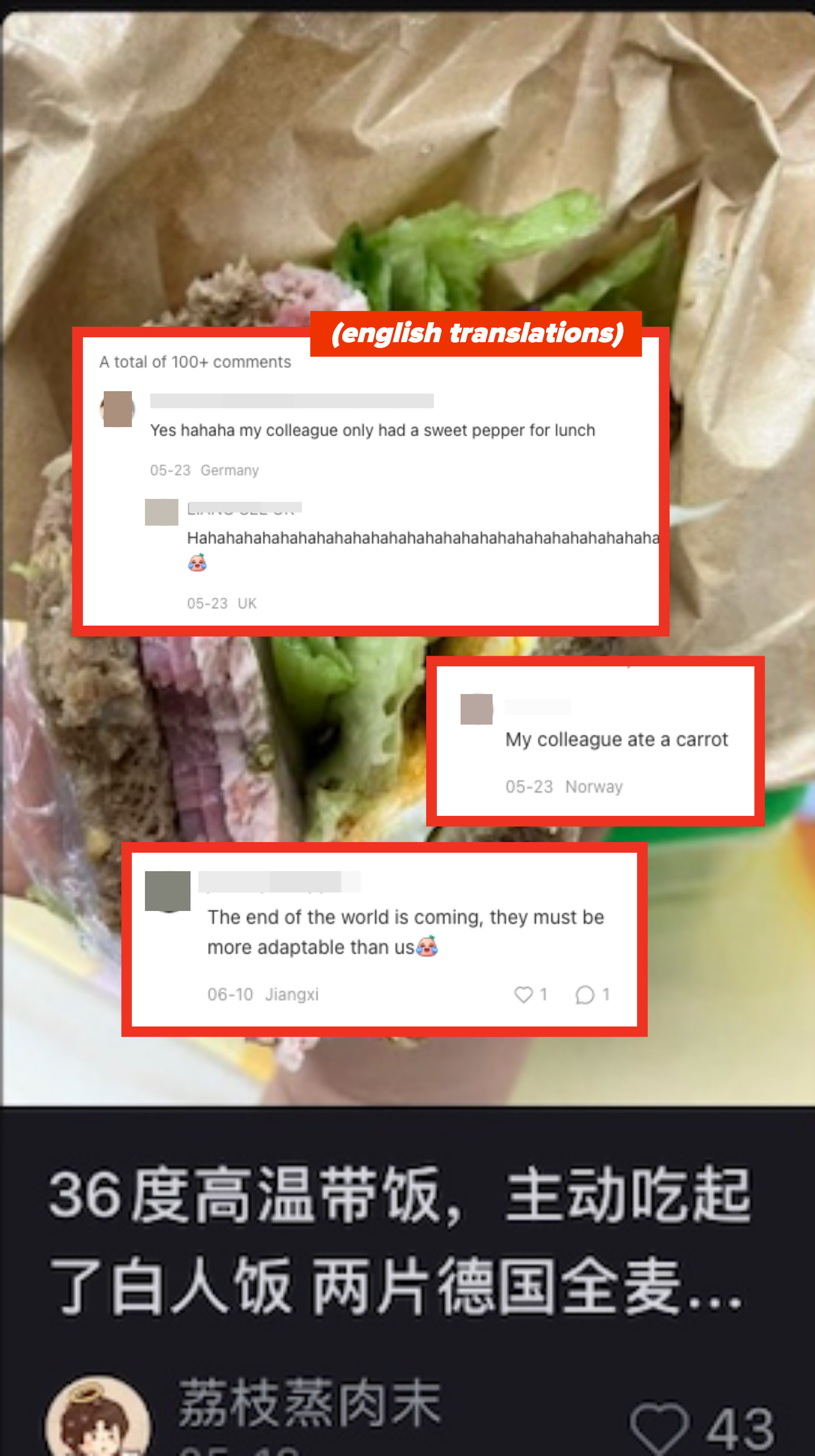 various comments in front of an image of a ham sandwich, like yes my colleague only had a sweet pepper for lunch, my colleague ate a carrot, and the end of the world is coming, they must be more adaptable than us