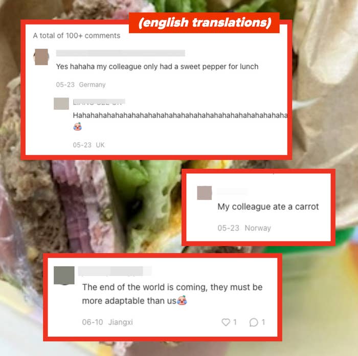 various comments in front of an image of a ham sandwich, like yes my colleague only had a sweet pepper for lunch, my colleague ate a carrot, and the end of the world is coming, they must be more adaptable than us