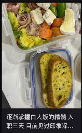toasted bread next to a salad with avocado, cheese, and other veggies in tupperware