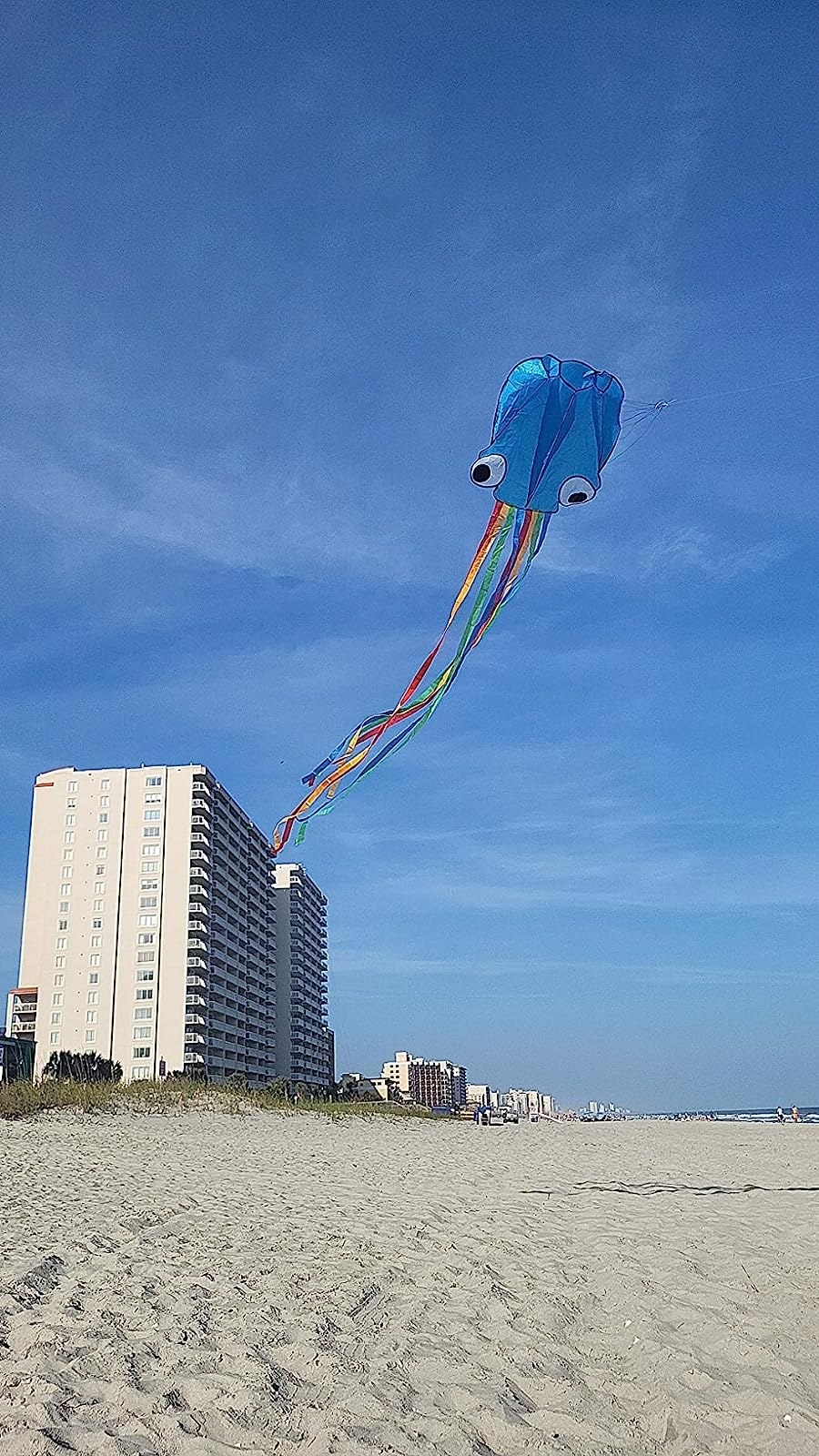 Octopus kite flying on the beach