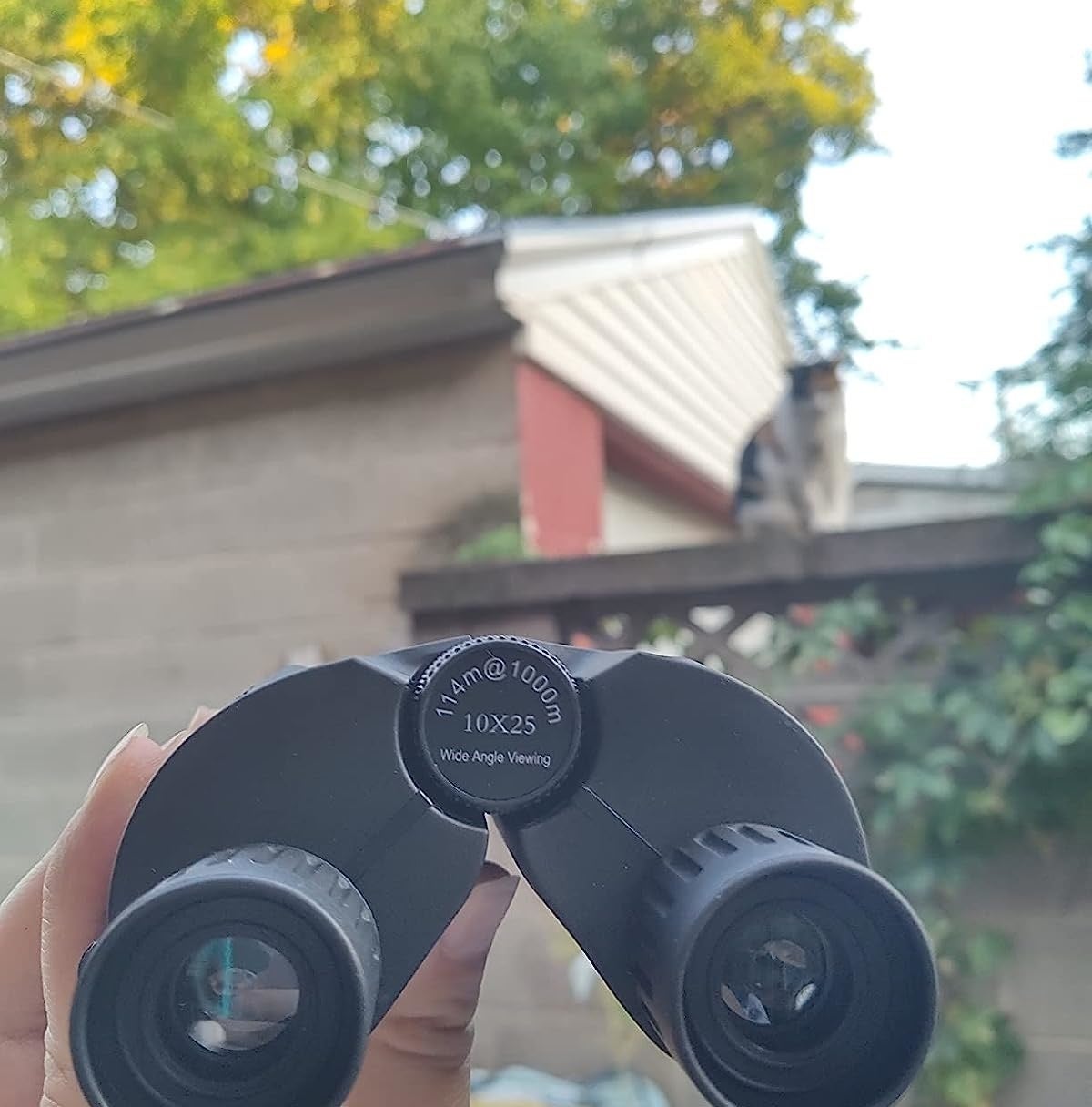reviewer holding small black binoculars