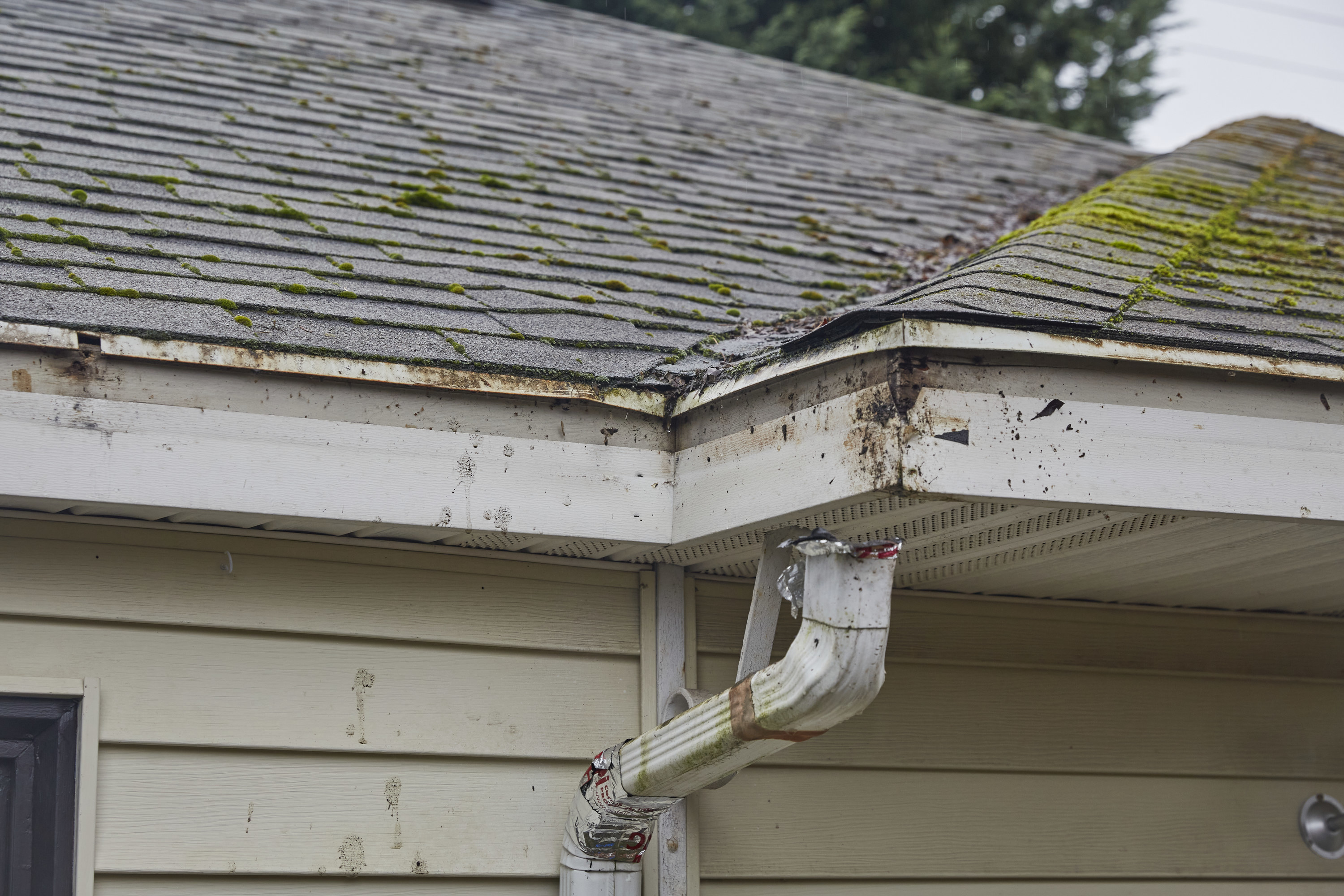 mossy, dirty roof with detached gutter