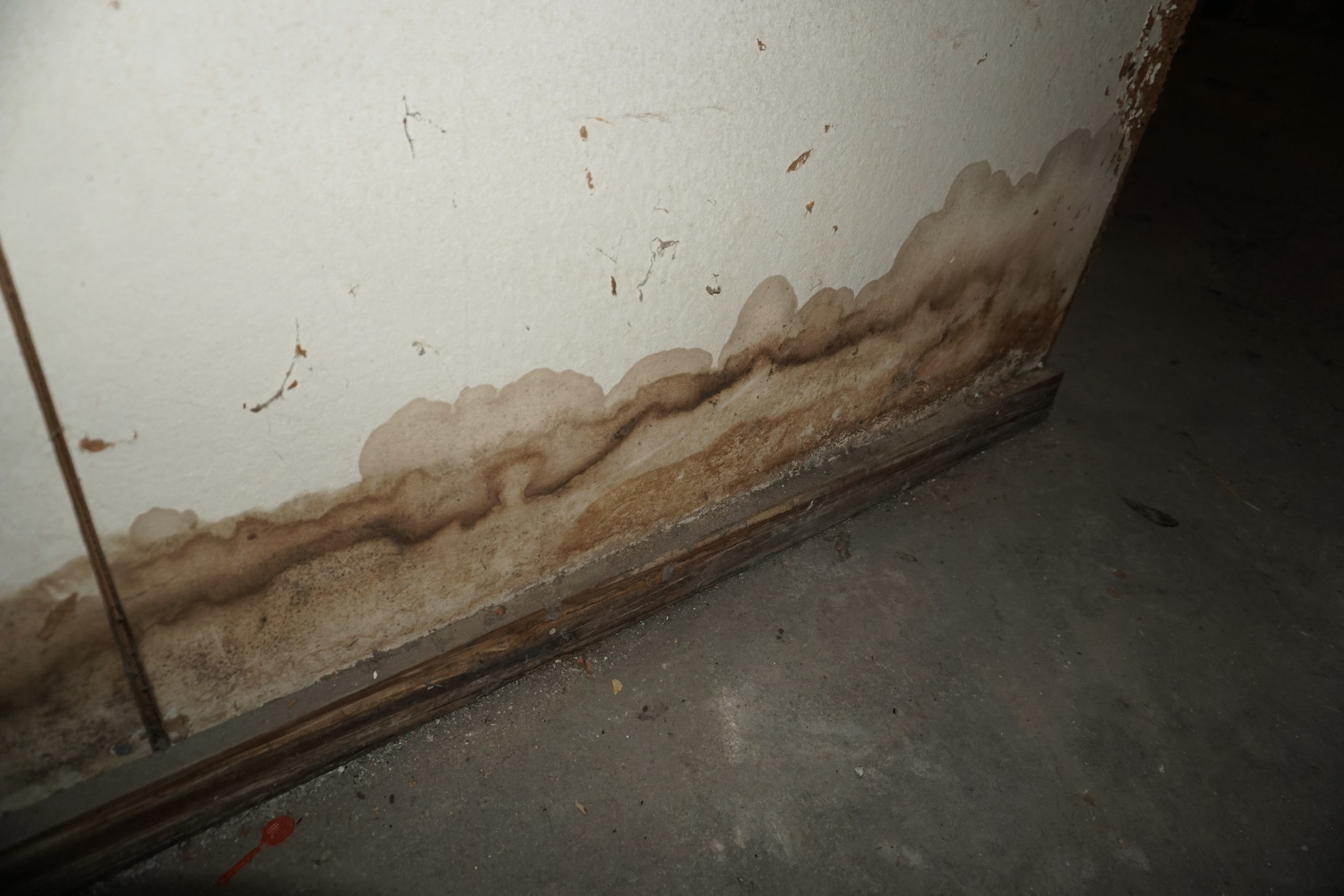 water damage on the bottom of a wall