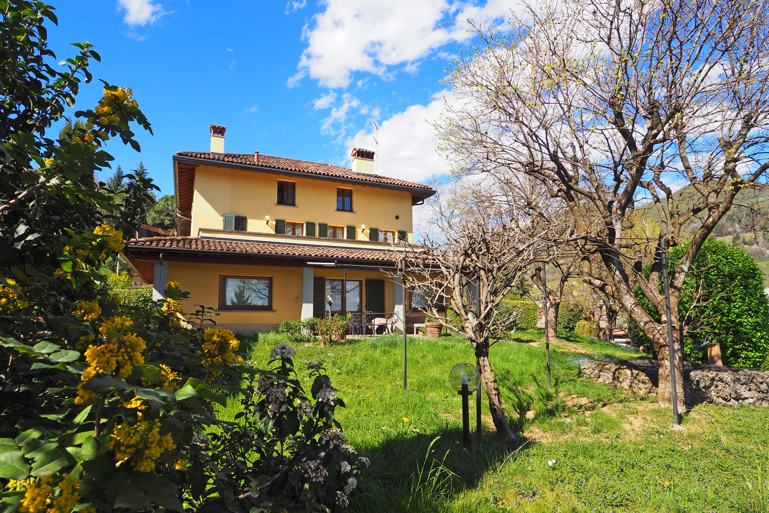 house on a slope surrounded by trees