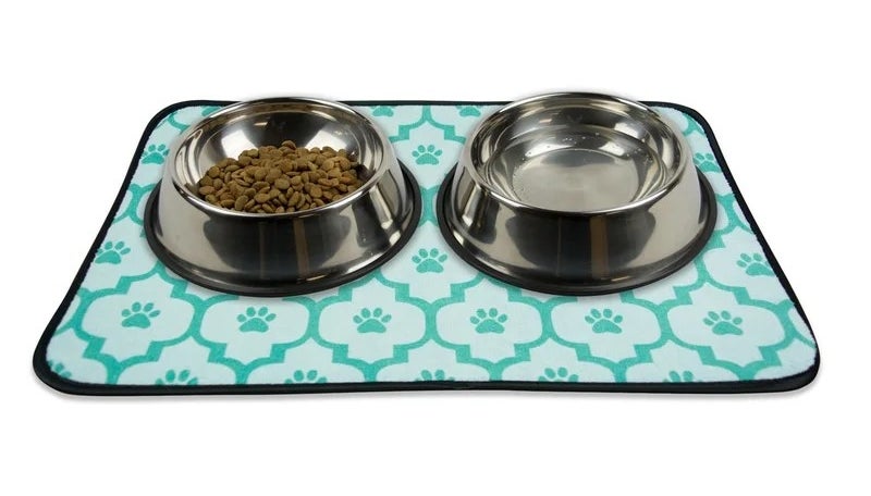 food and water bowls on the placemat in green