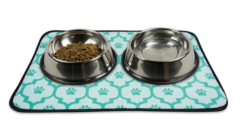 food and water bowls on the placemat in green