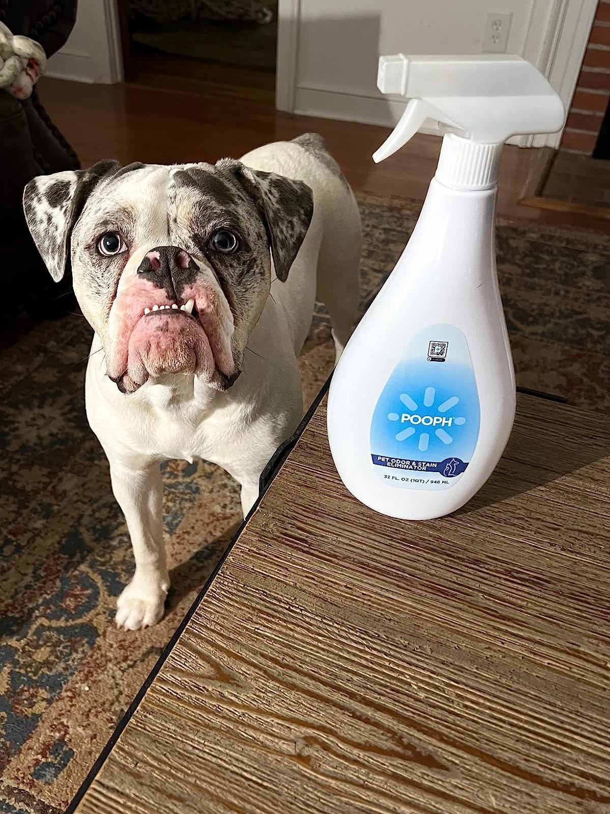a reviewer&#x27;s photo of the bottle next to their dog