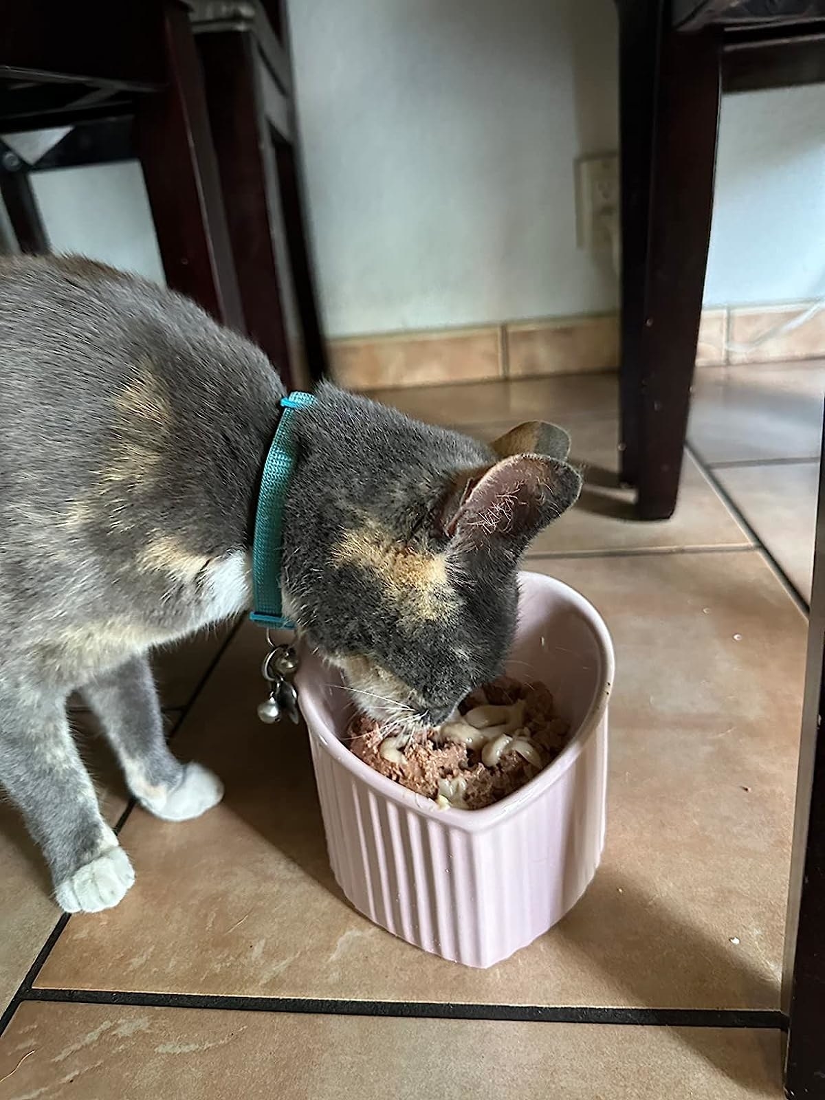 a reviewer&#x27;s photo of their cat eating from the bowl