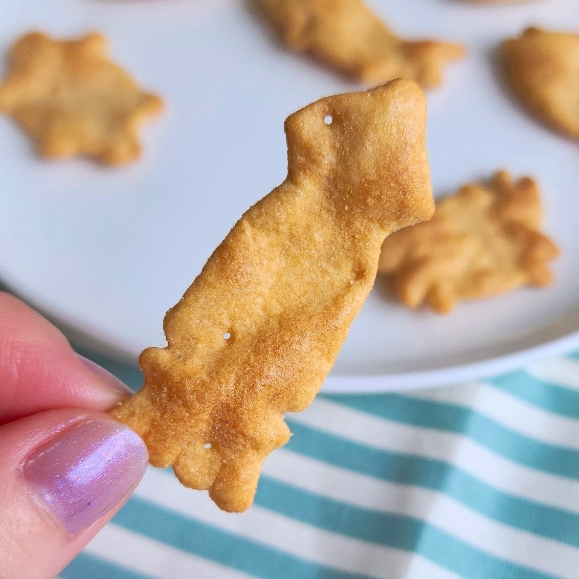 LAWSON（ローソン）のおすすめ「オーツブランの堅焼きおっとっと」