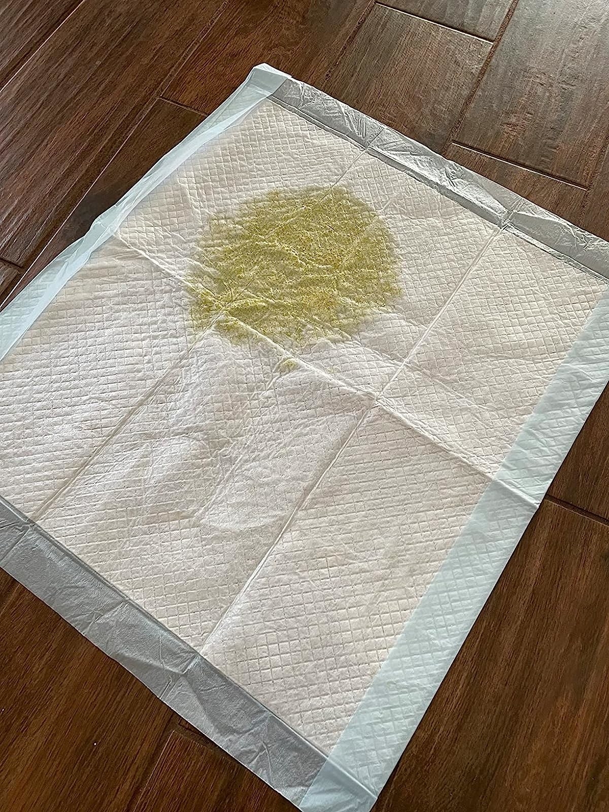 a reviewer&#x27;s photo of the used puppy pad