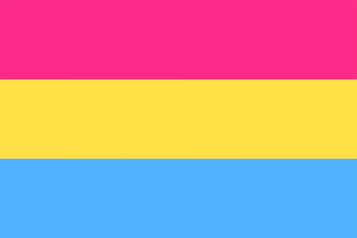 The pansexual flag colors