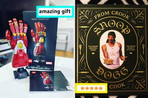 reviewer's nano gauntlet Lego set and reviewer's Snoop Dogg cookbook