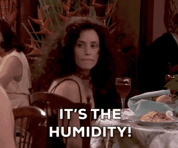 GIF of Monica on friends grabbing her hair and saying &quot;it&#x27;s the humidity&quot;