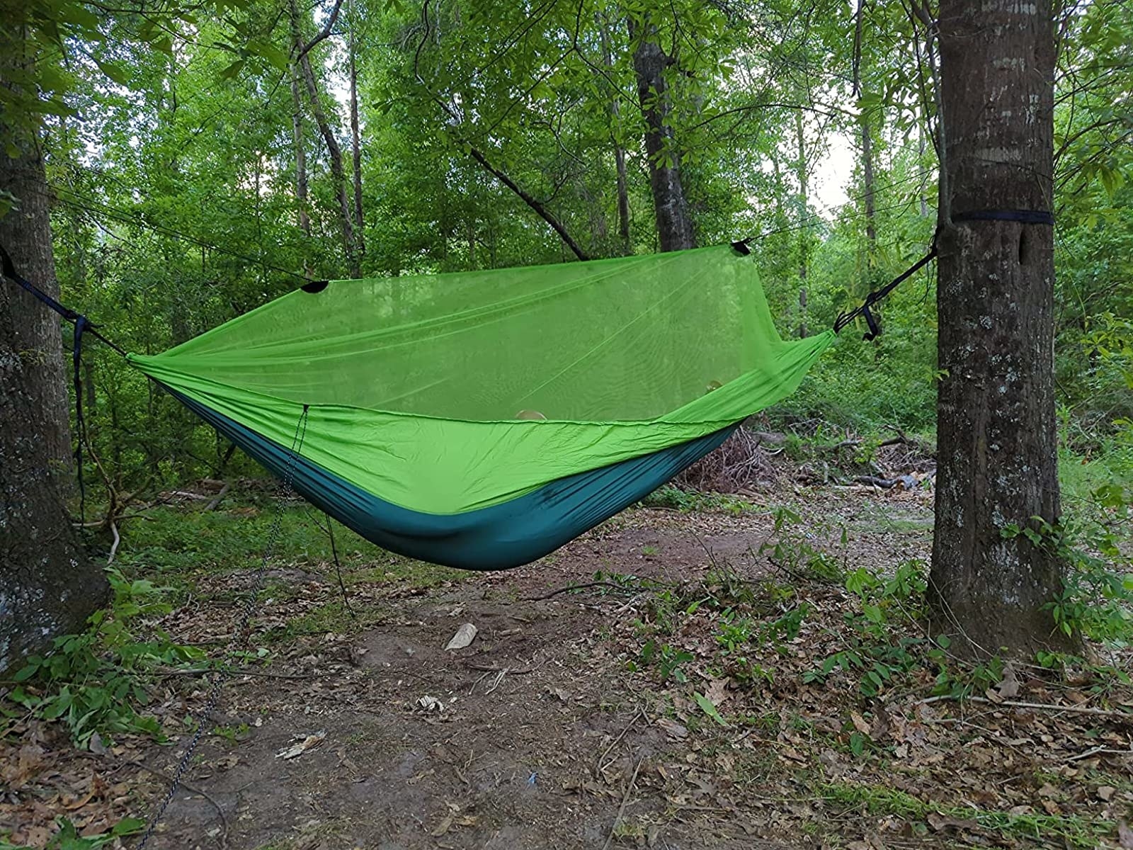 Reviewer image of the hammock with the mosquito net hanging in the woods