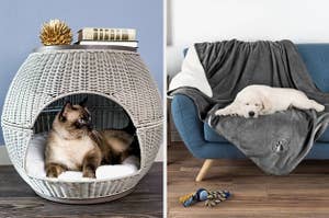 a rattan cat bed and a waterproof blanket