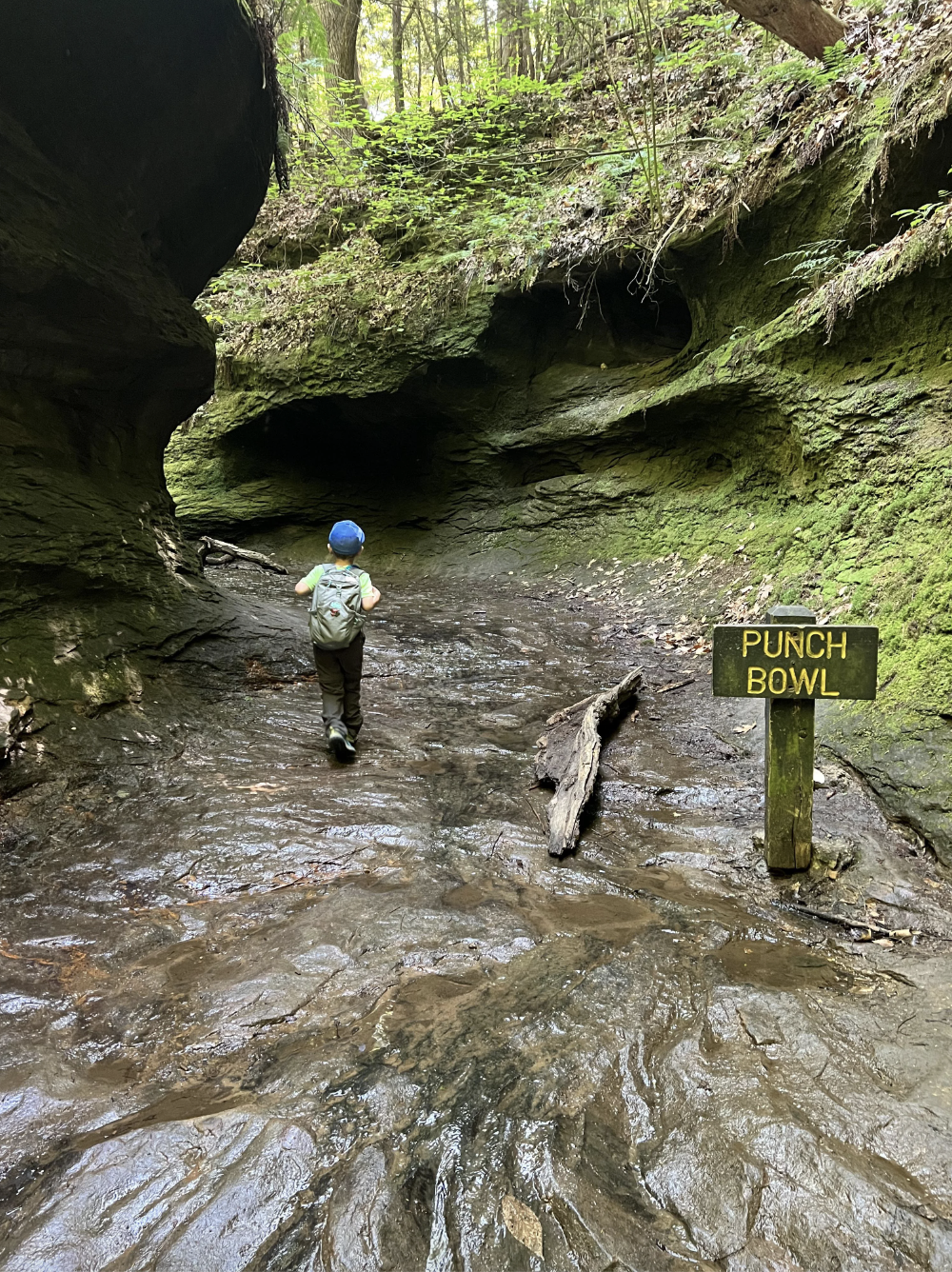 A hiking trail in Turkey Run State Park.