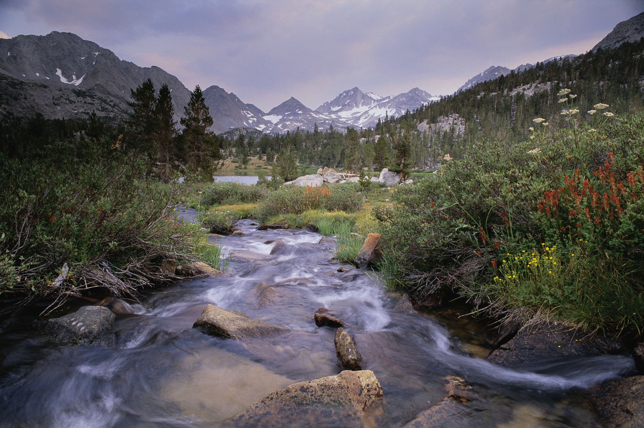 Brook Flowing Beneath Bear Creek Spire in Inyo Forest.