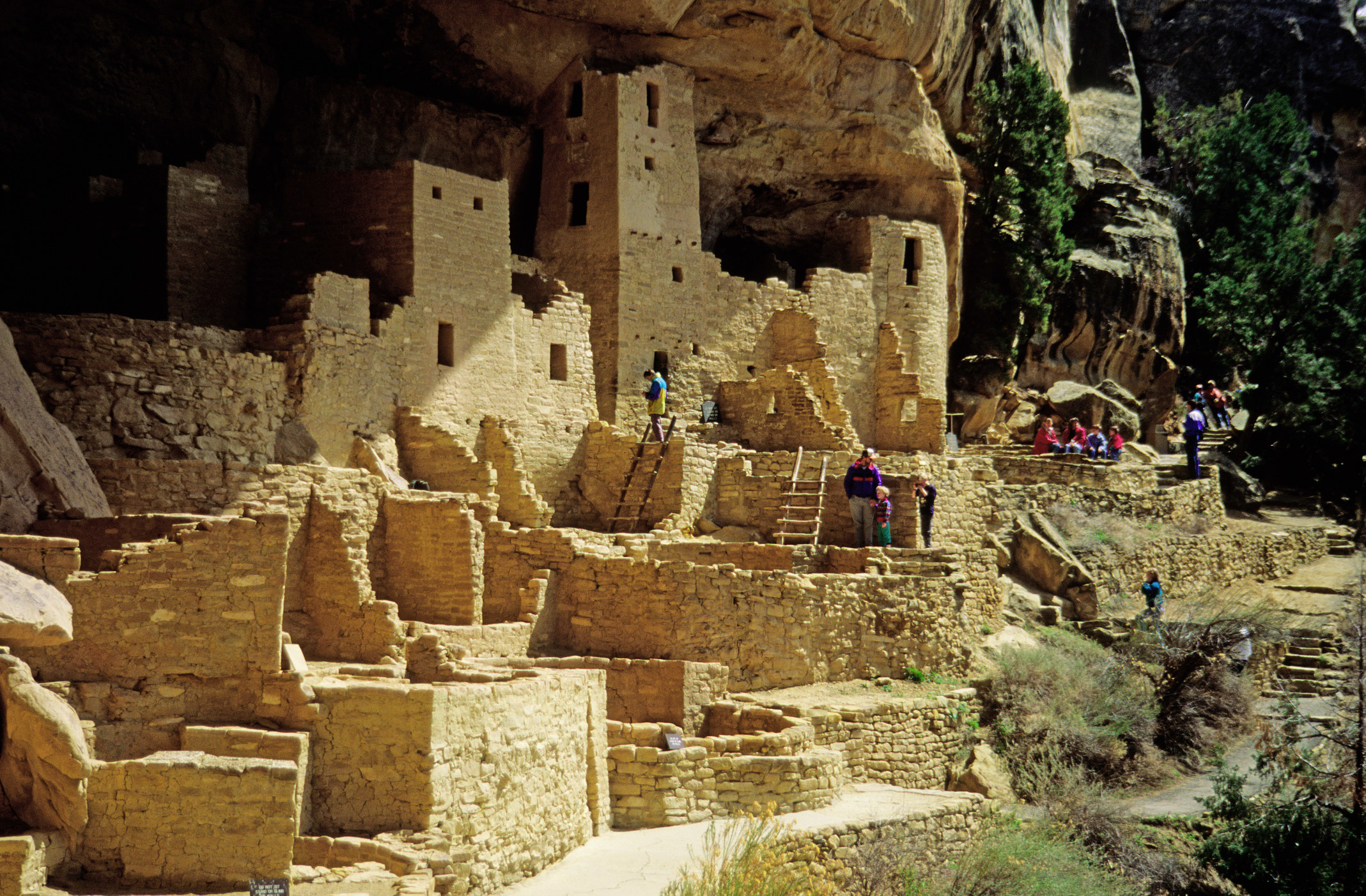 Cliff Palace in Mesa Verde National Park.