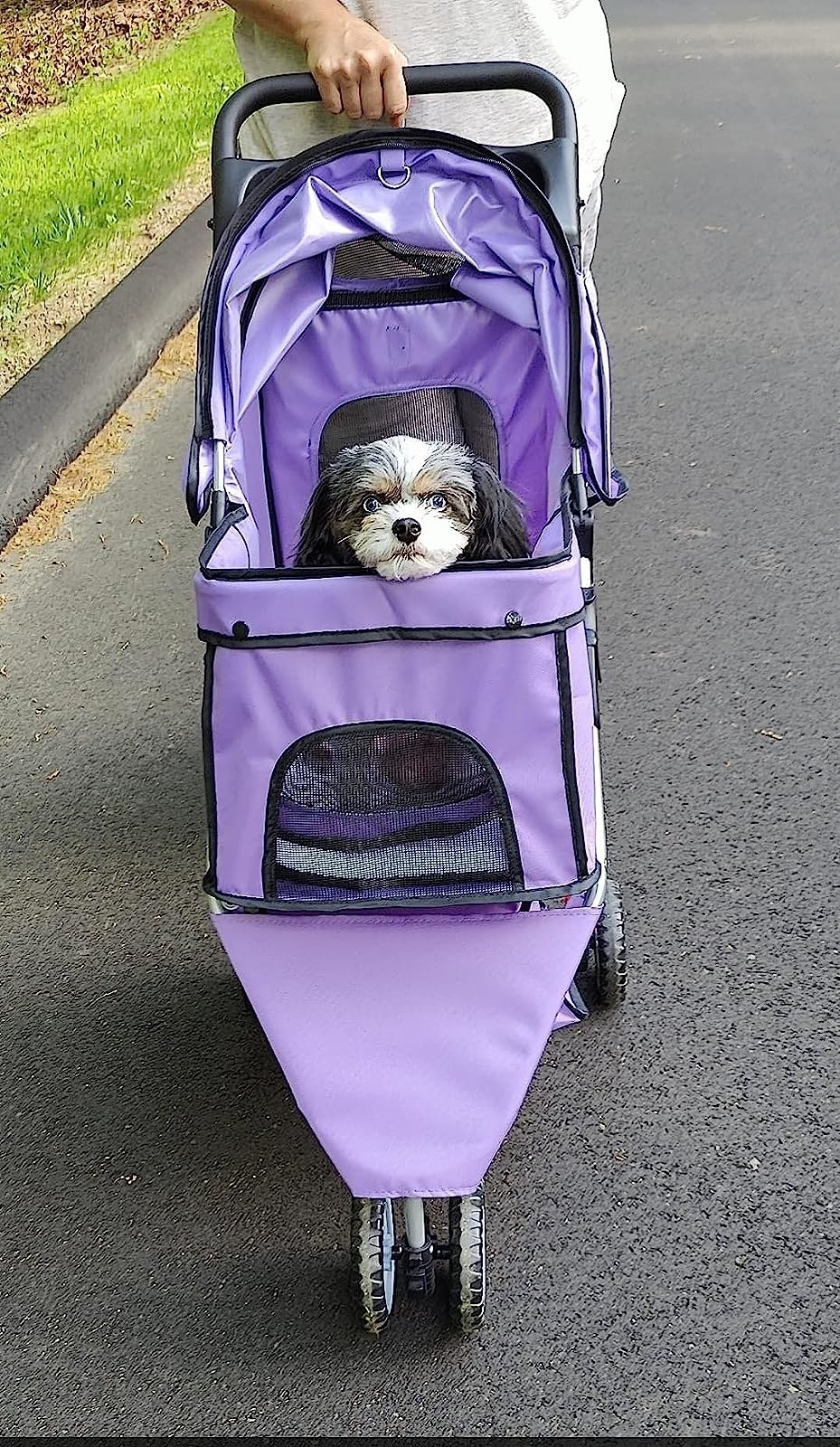 a reviewer&#x27;s photo of their dog in the purple stroller