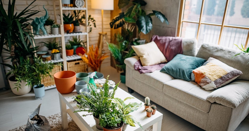 Decor Aesthetic Style Quiz