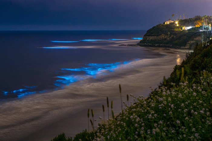 A coastline at night with bright blue water.