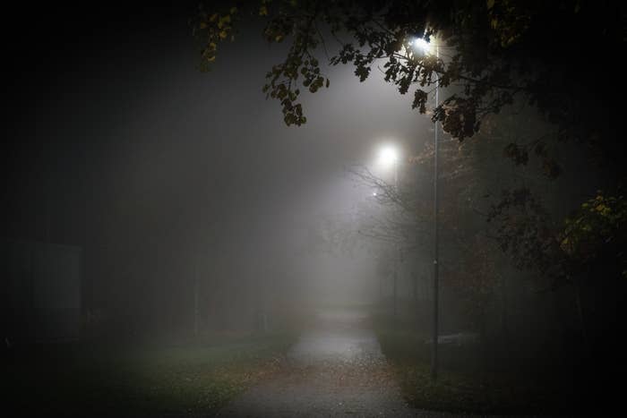 Street lamps lining a foggy path.