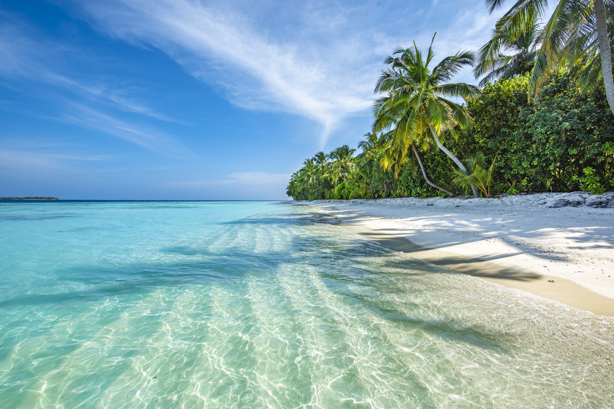 Crystal clear water with palm trees.