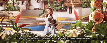 Dorothy saying &quot;Toto, I&#x27;ve a feeling we&#x27;re not in Kansas anymore&quot; in The Wizard of Oz