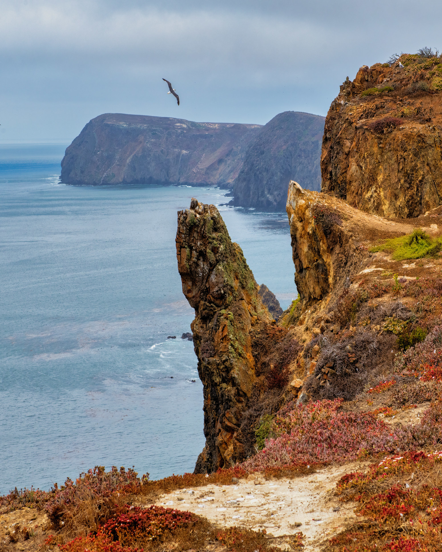 Water and rocky cliff at Channel Islands National Park.