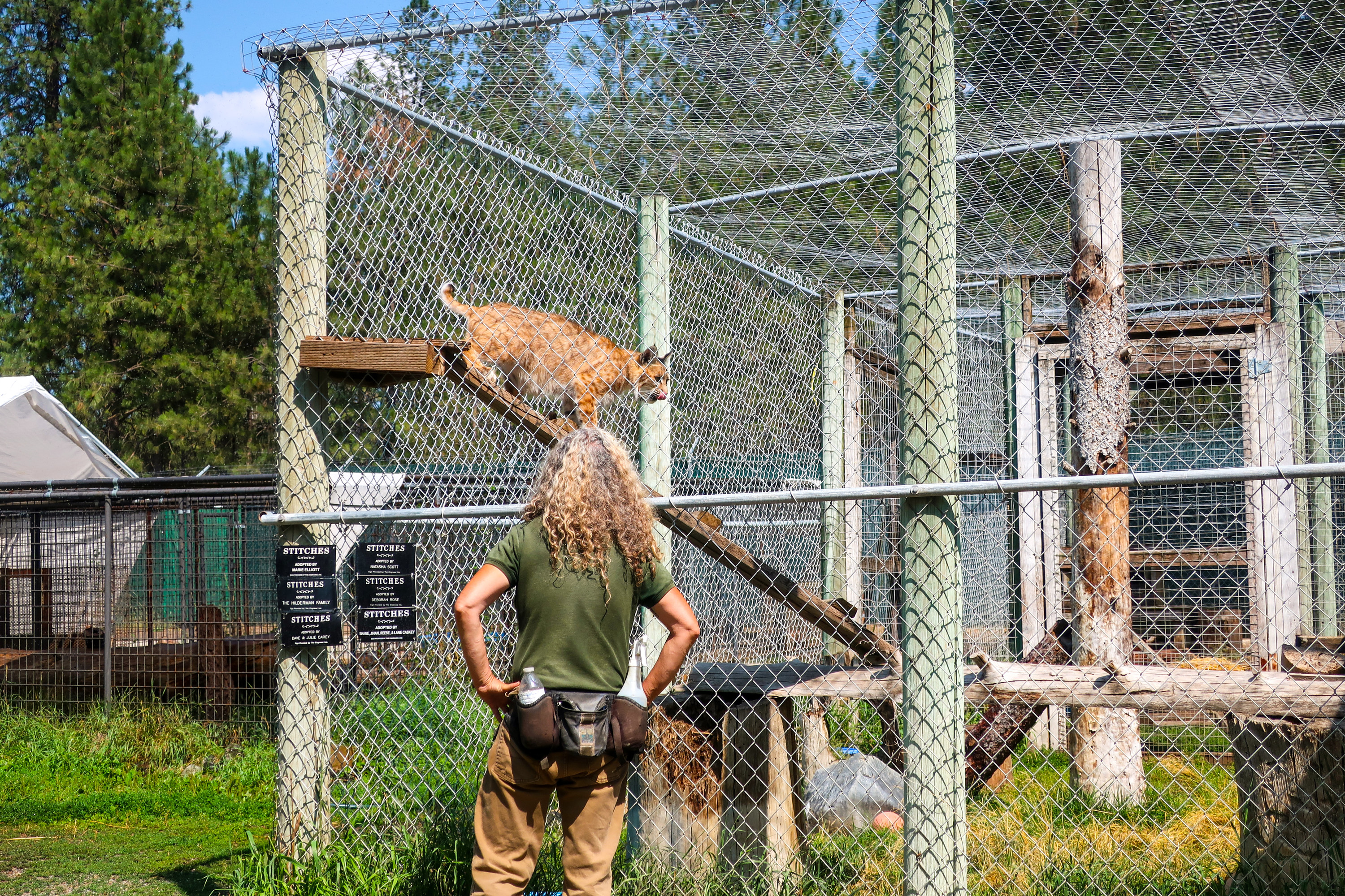 A zookeeper outside a cage at the zoo