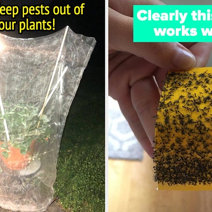 26 Items To Keep Pesky Insects Far, Far Away