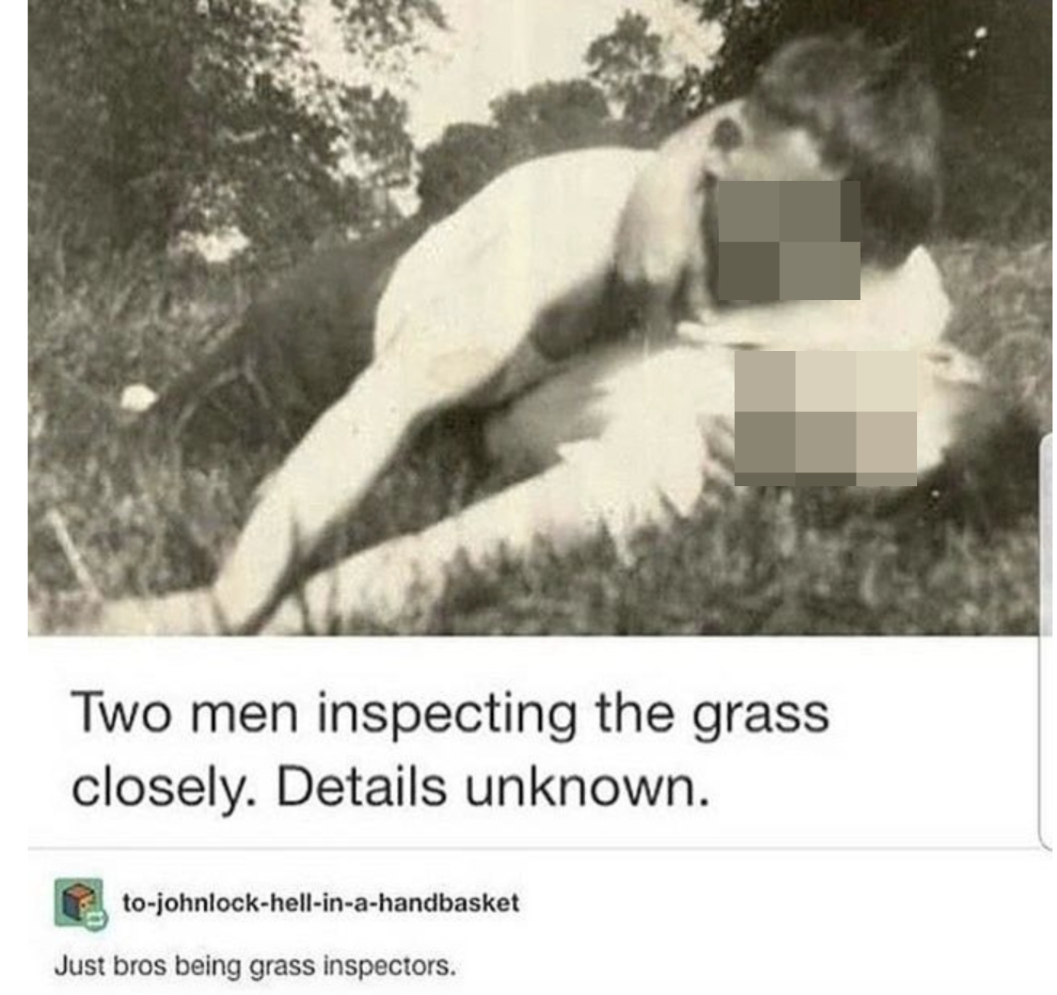 just bros being grass inspectors when the photo is of a boy lying on top of another
