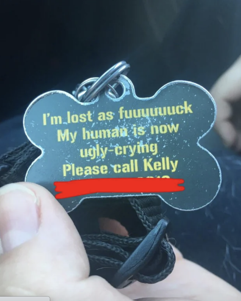 i&#x27;m lost as fuck, my human is now ugly crying please call kelly