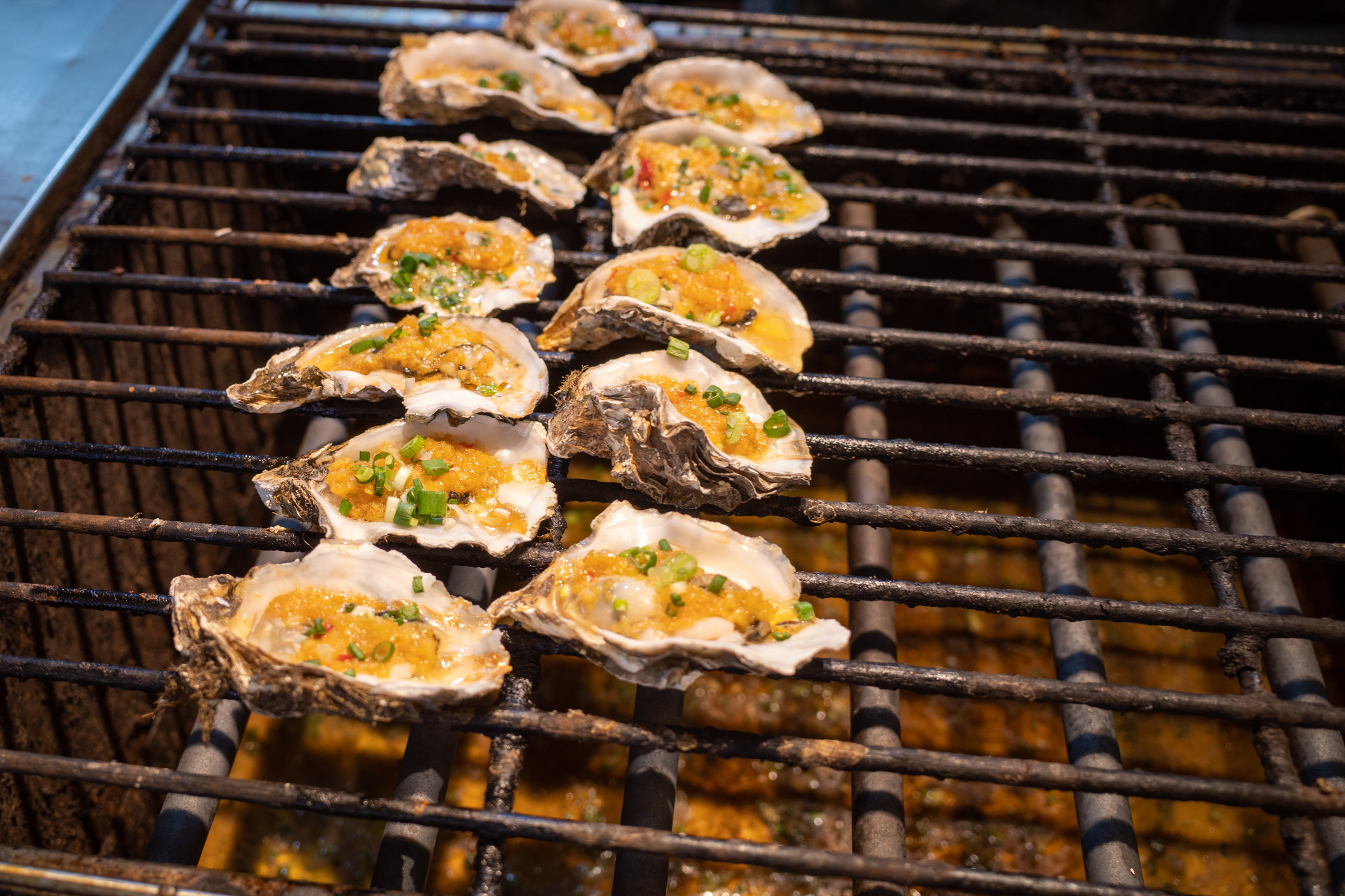 Oysters cooking on a grill