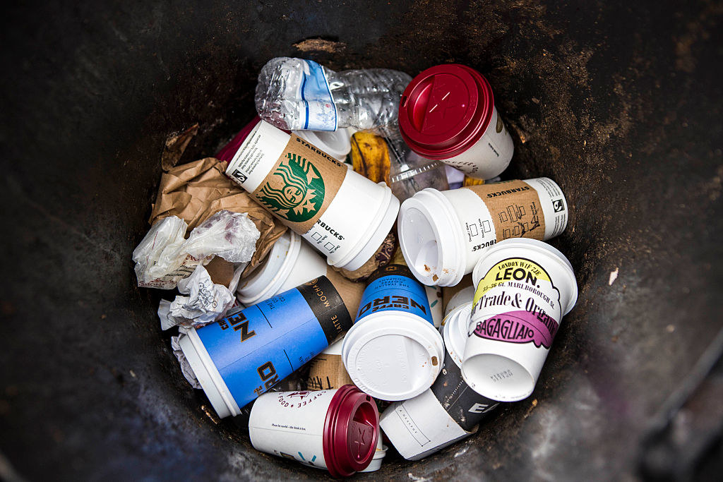 inside of a trash can with coffee cups