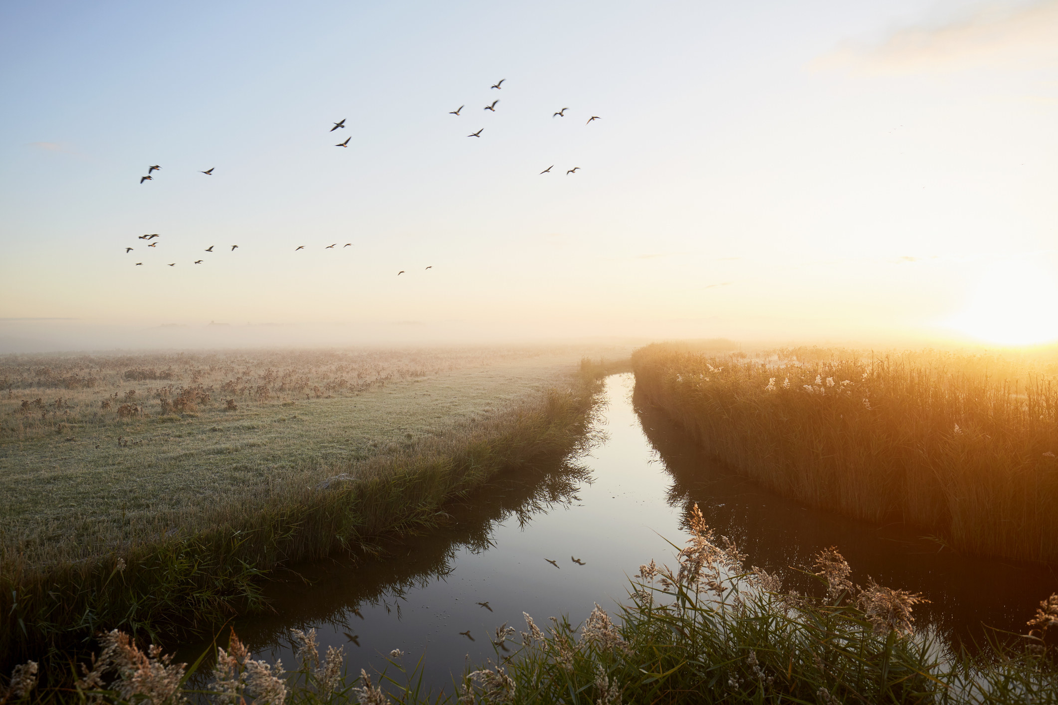 A peaceful river with birds flying overhead at dawn.