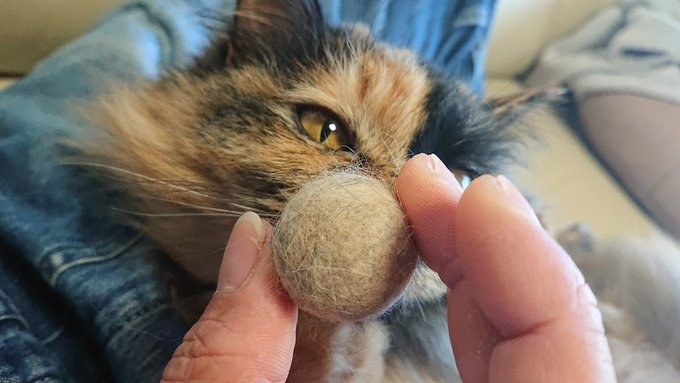 まだ集めはじめたばかりのころ