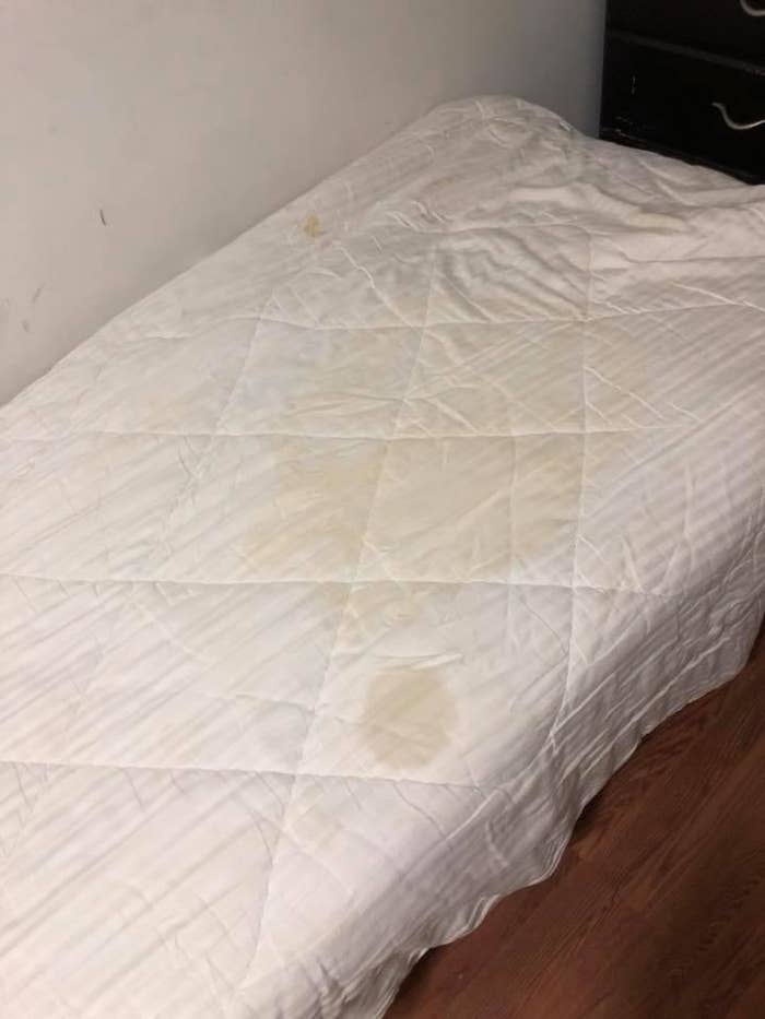 large pee stain on the sheets