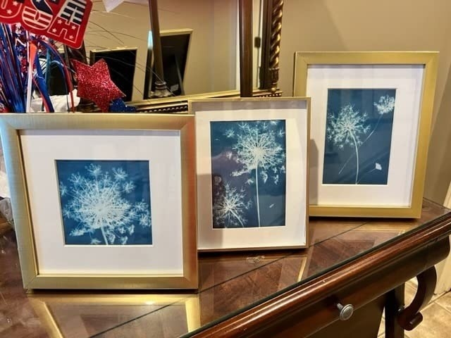 Framed SunPrint art