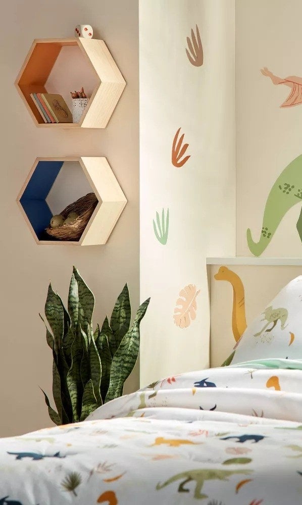 The hexagon-shaped shelves in different colors hanging on a wall