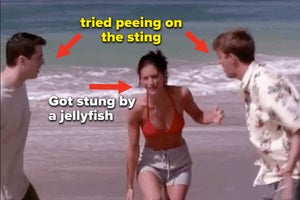 scene from "Friends" where Monica get stung by a jellyfish with caption "got stung by a jellyfish" and arrows pointing to her friends with caption "tried peeing on the sting"