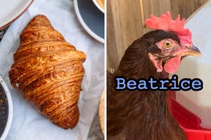 On the left, a croissant, and on the right, a chicken labeled Beatrice