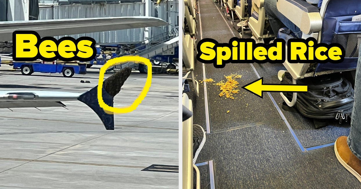 Weirdest Reasons For Flight Delays - BuzzFeed