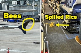 A swarm of bees on the wing of a plane and a pile of spilled rice in the aisle