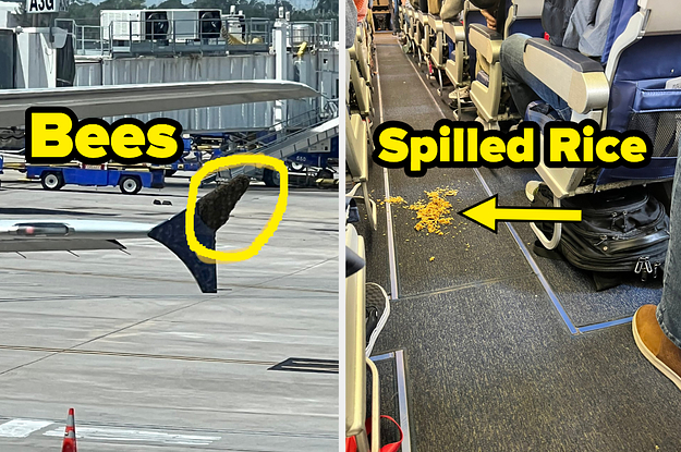 31 People Shared The Wildest Reasons Their Flights Were Delayed