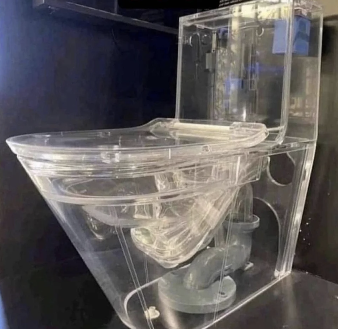 a completely transparent toilet