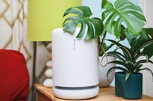 reviewer's air purifier on a table